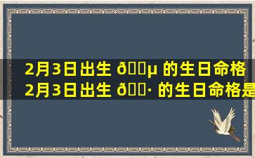 2月3日出生 🌵 的生日命格「2月3日出生 🌷 的生日命格是什么」